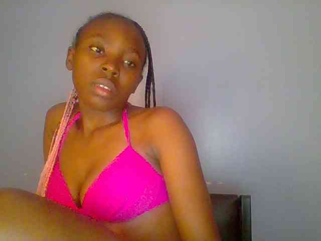 chocolate-brownie webcam