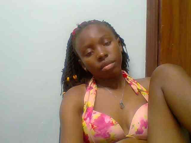 chocolate-brownie webcam