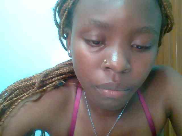 chocolate-brownie webcam