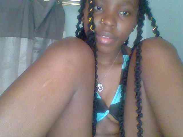 chocolate-brownie webcam