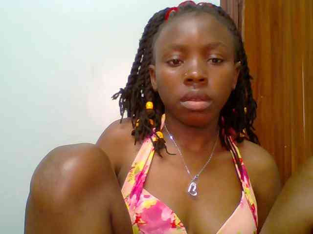 chocolate-brownie webcam