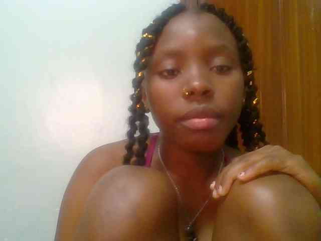 chocolate-brownie webcam