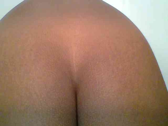 chocolate-brownie webcam