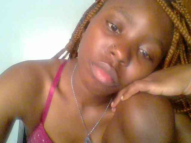 chocolate-brownie webcam