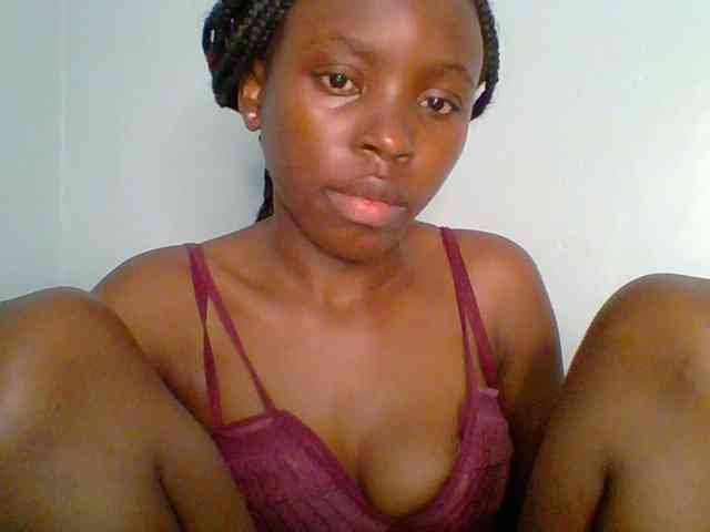 chocolate-brownie webcam