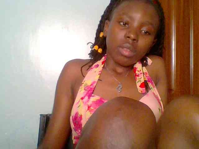 chocolate-brownie webcam