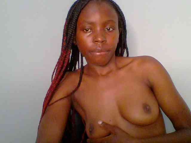 chocolate-brownie webcam