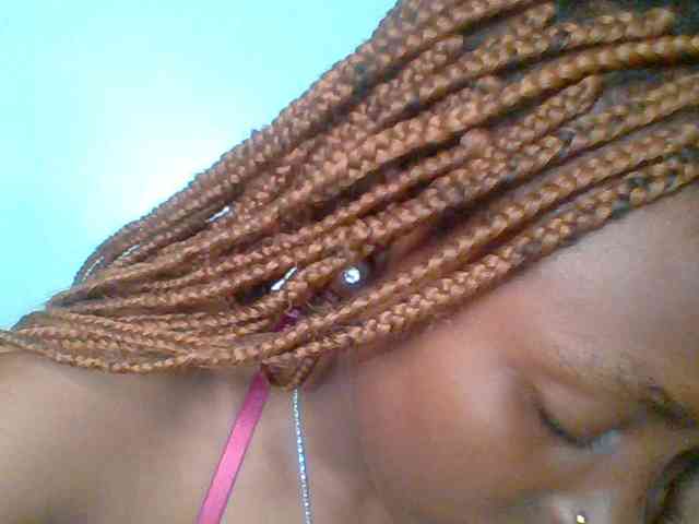 chocolate-brownie webcam