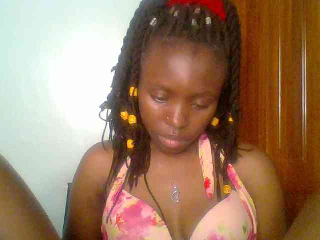 chocolate-brownie webcam