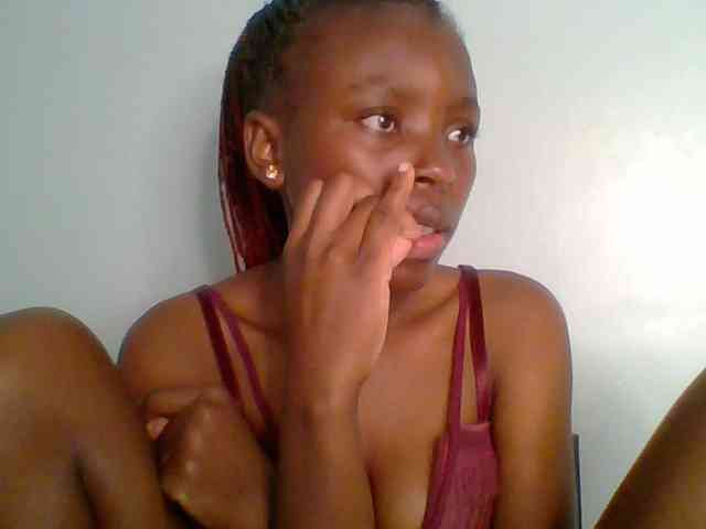 chocolate-brownie webcam