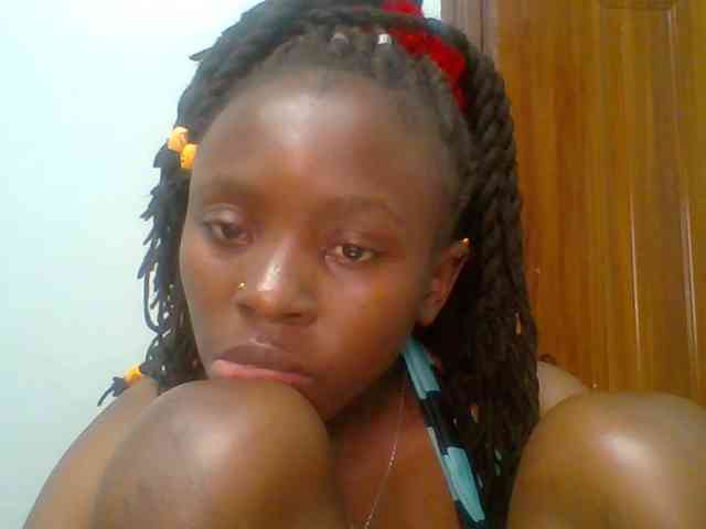 chocolate-brownie webcam