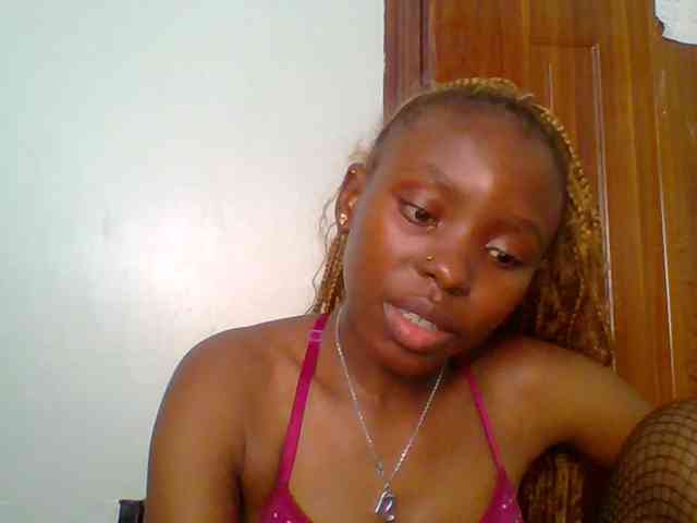 chocolate-brownie webcam