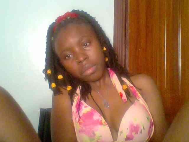 chocolate-brownie webcam