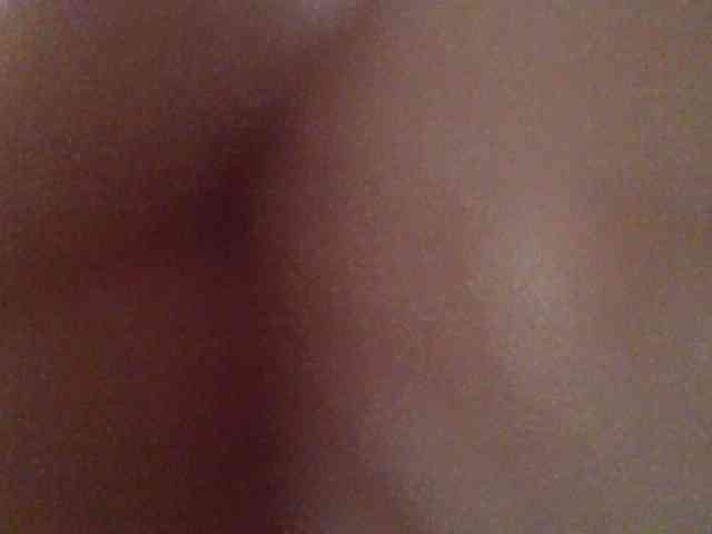 chocolate-brownie webcam