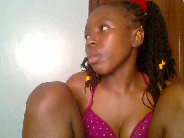 chocolate-brownie webcam