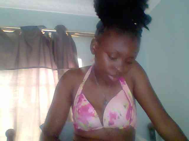 chocolate-brownie webcam