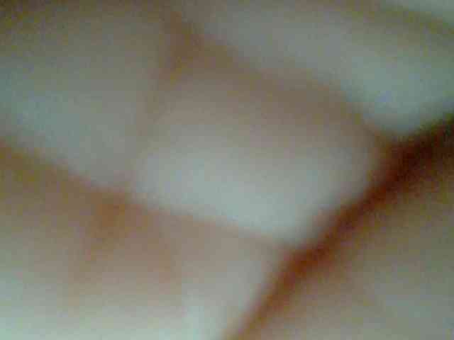 chocolate-brownie webcam