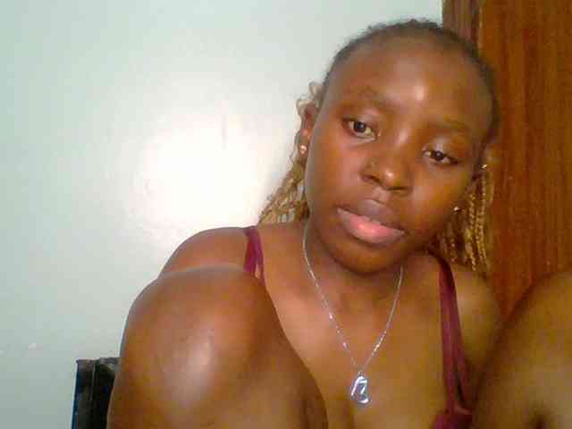 chocolate-brownie webcam