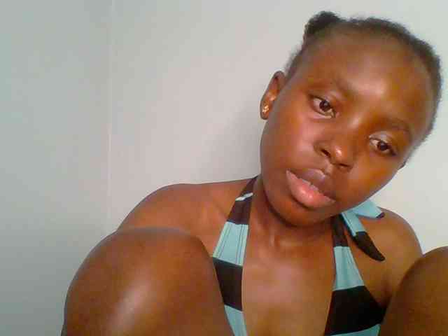 chocolate-brownie webcam