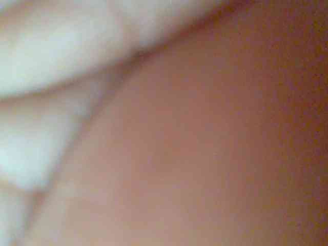 chocolate-brownie webcam