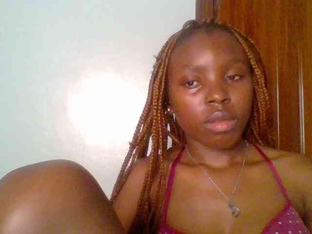 chocolate-brownie webcam