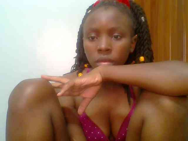 chocolate-brownie webcam