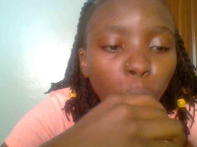 chocolate-brownie webcam