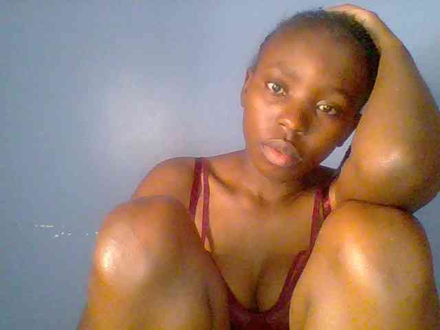 chocolate-brownie webcam