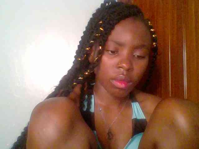 chocolate-brownie webcam