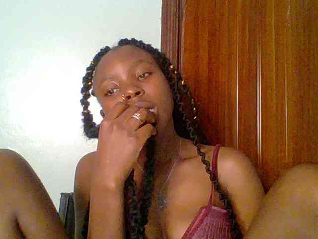 chocolate-brownie webcam