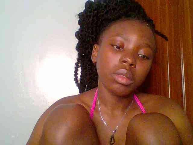 chocolate-brownie webcam