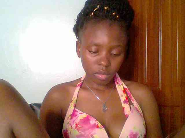 chocolate-brownie webcam