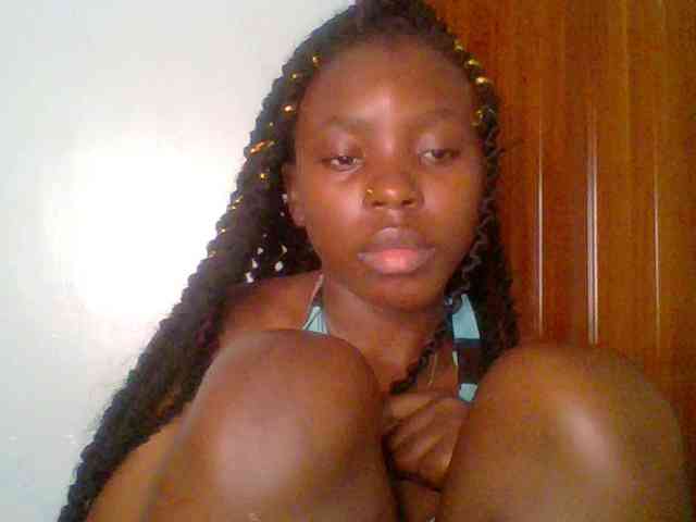 chocolate-brownie webcam