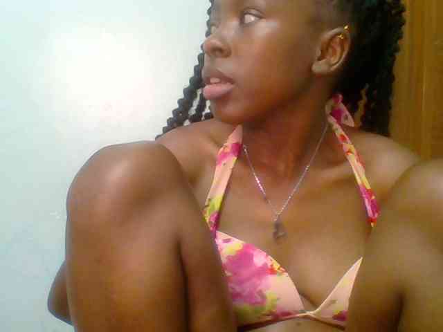 chocolate-brownie webcam