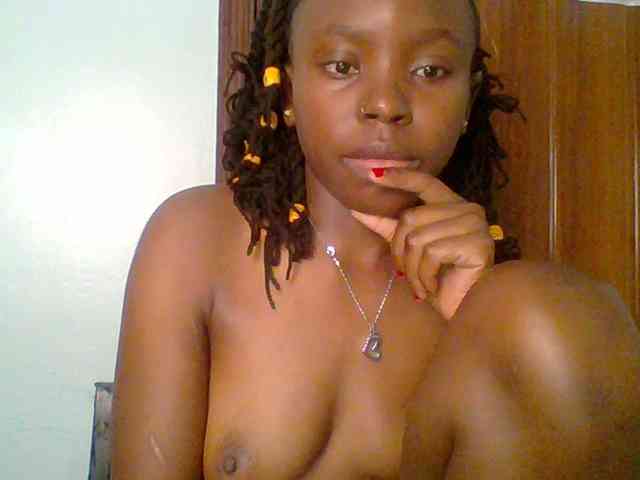 chocolate-brownie webcam