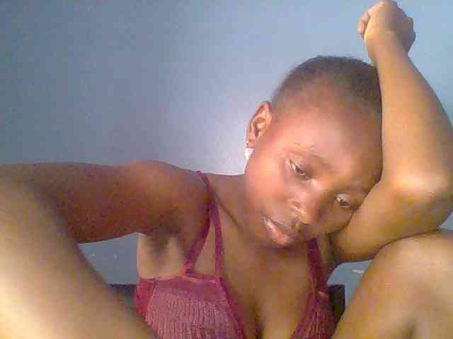 chocolate-brownie webcam