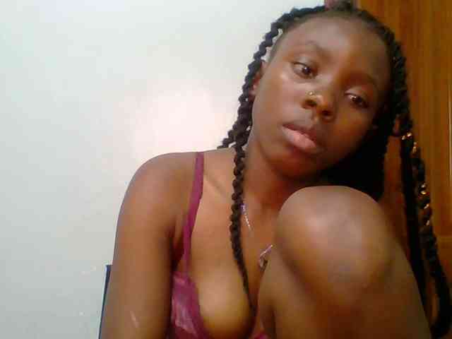 chocolate-brownie webcam