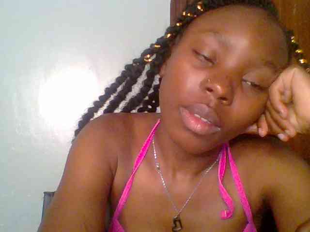 chocolate-brownie webcam