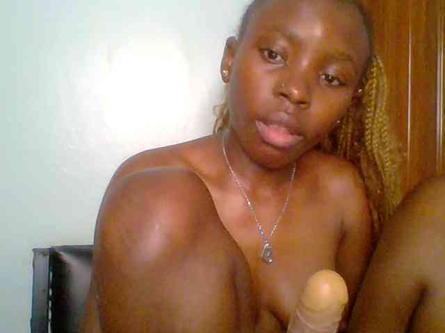 chocolate-brownie webcam