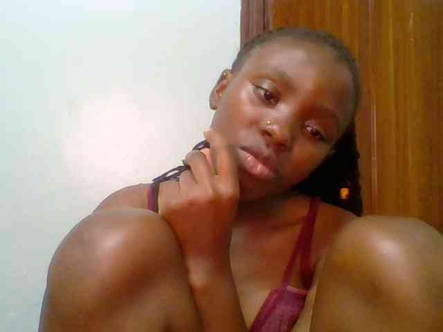 chocolate-brownie webcam