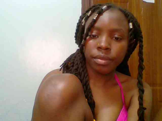 chocolate-brownie webcam