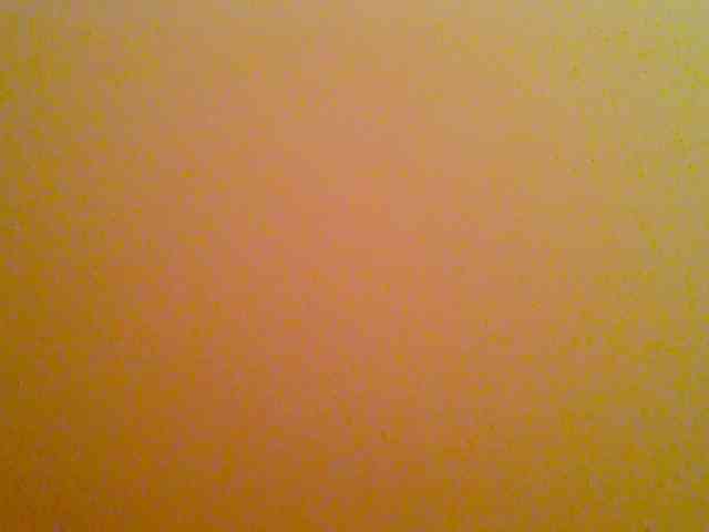 chocolate-brownie webcam