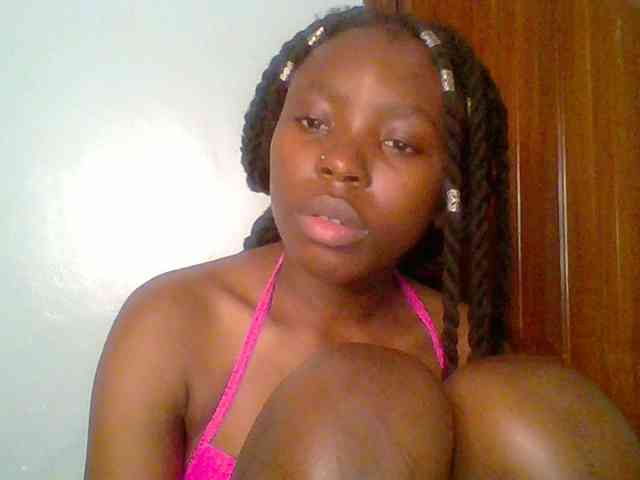 chocolate-brownie webcam