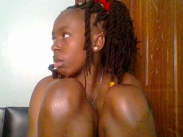 chocolate-brownie webcam