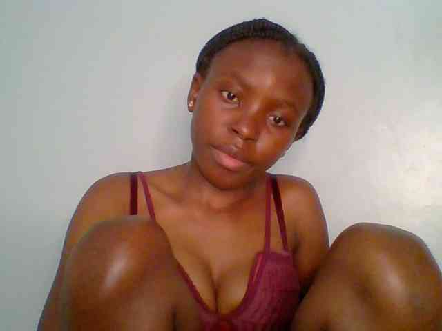 chocolate-brownie webcam