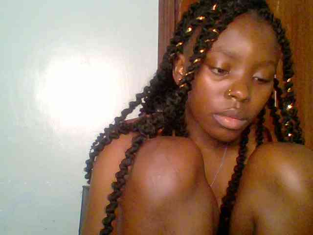 chocolate-brownie webcam