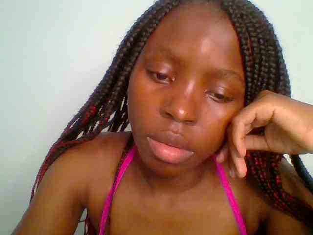 chocolate-brownie webcam