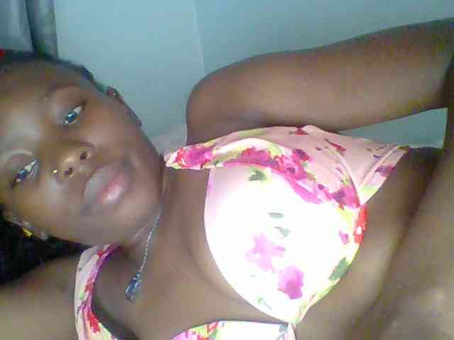 chocolate-brownie webcam