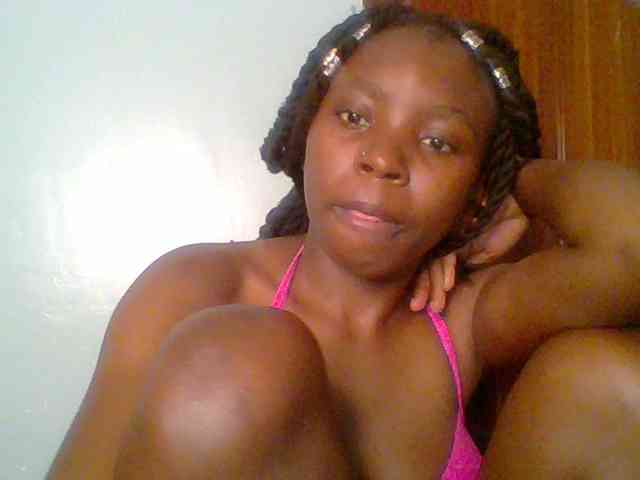 chocolate-brownie webcam