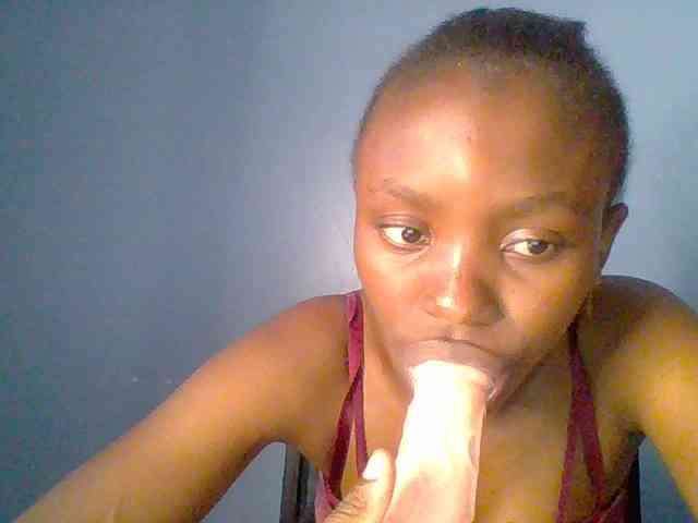 chocolate-brownie webcam